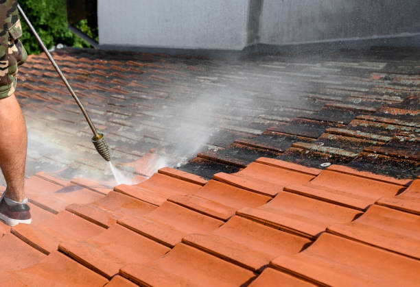 Best Affordable Pressure Washing  in Roosevelt, NY