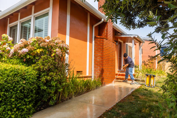 Best Residential Pressure Washing Services  in Roosevelt, NY